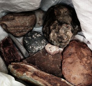 Rocks from the Mill River